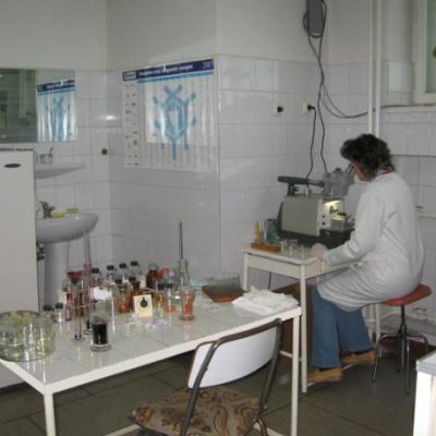 Imagini din activitatea laboratorului de neuroştiinţe (neuropatologie – cercetare)