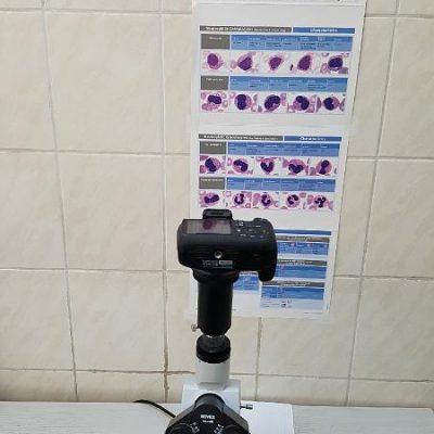 Laborator de analize medicale (5)