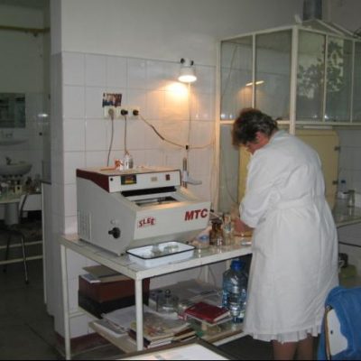 laborator2